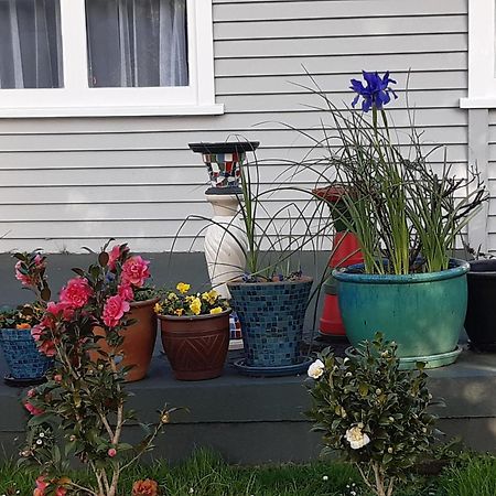 Happy Space Waihi Exterior photo